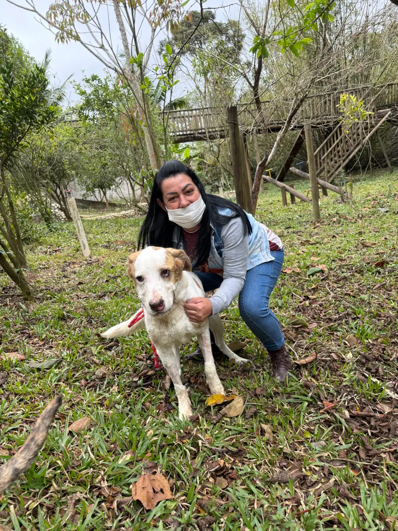 Chacal depois do resgate