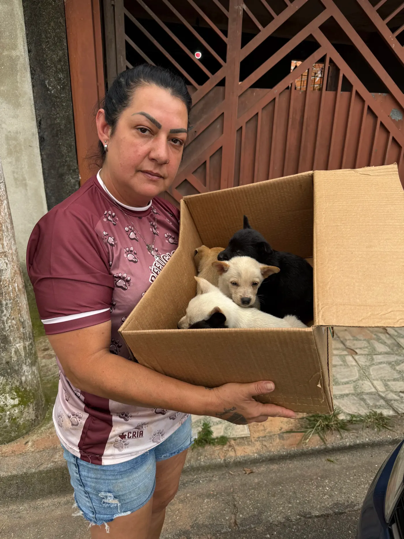 Resgates e Doações